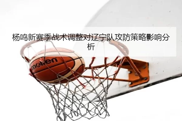 杨鸣新赛季战术调整对辽宁队攻防策略影响分析