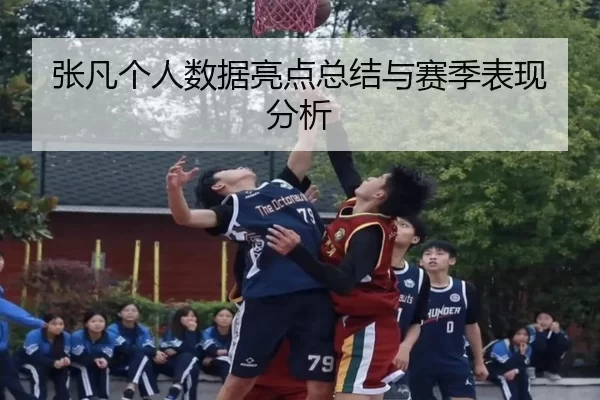 张凡个人数据亮点总结与赛季表现分析